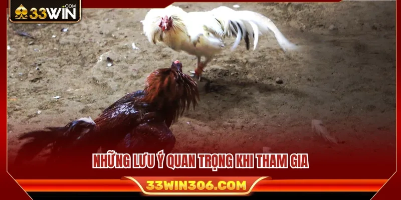 Những lưu ý hữu ích dành cho người mới trước khi tham gia 