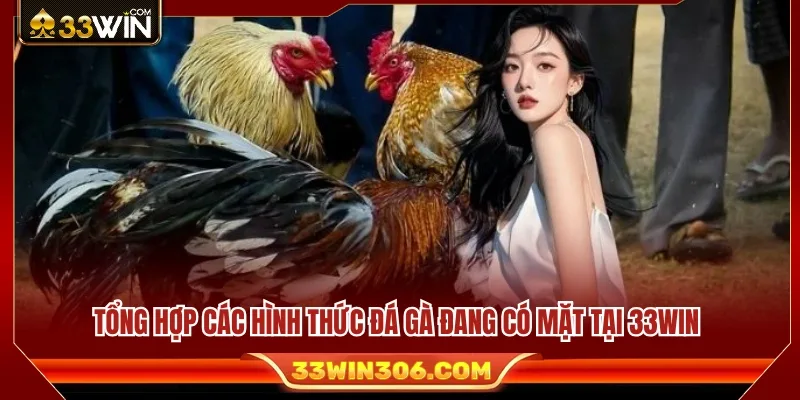 Đá Gà 33WIN 2 Những loại hình đá gà nổi bật trên nền tảng 33 WIN