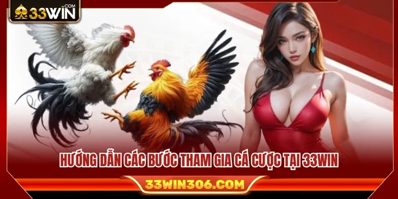 Đá Gà 33WIN 3 Các bước trải nghiệm và tham gia đặt cược trên 33WIN