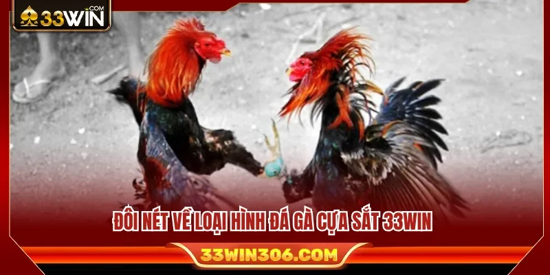 Tìm hiểu sức hút của hình thức đá gà cựa sắt 33WIN 