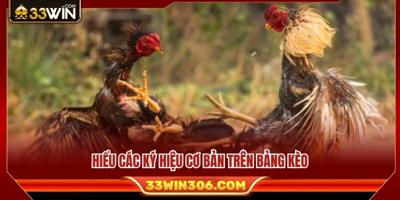Kèo Đá Gà 33WIN – Cách Đọc Tỷ Lệ Trước Khi Vào Trận 3 Ý nghĩa của những thông số và ký hiệu trên bảng kèo.
