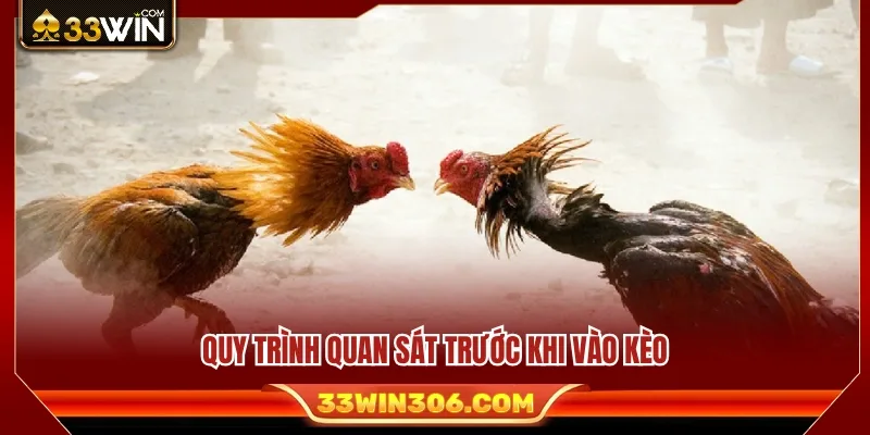 Kèo Đá Gà 33WIN – Cách Đọc Tỷ Lệ Trước Khi Vào Trận 4 Quy trình phân tích thông tin trước khi quyết định vào kèo